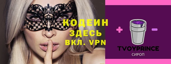 2c-b Новозыбков