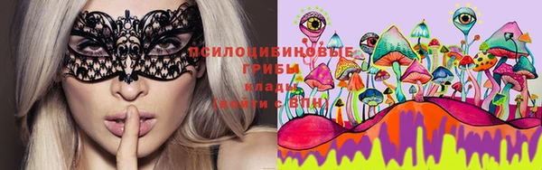 бошки Белая Холуница