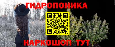 бошки Абинск