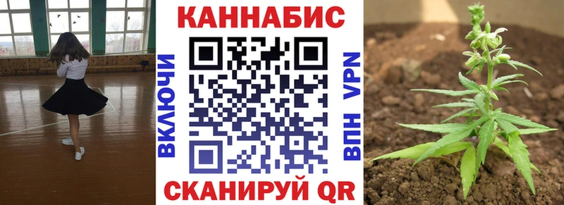 как найти закладки  Мегион  Канабис семена 